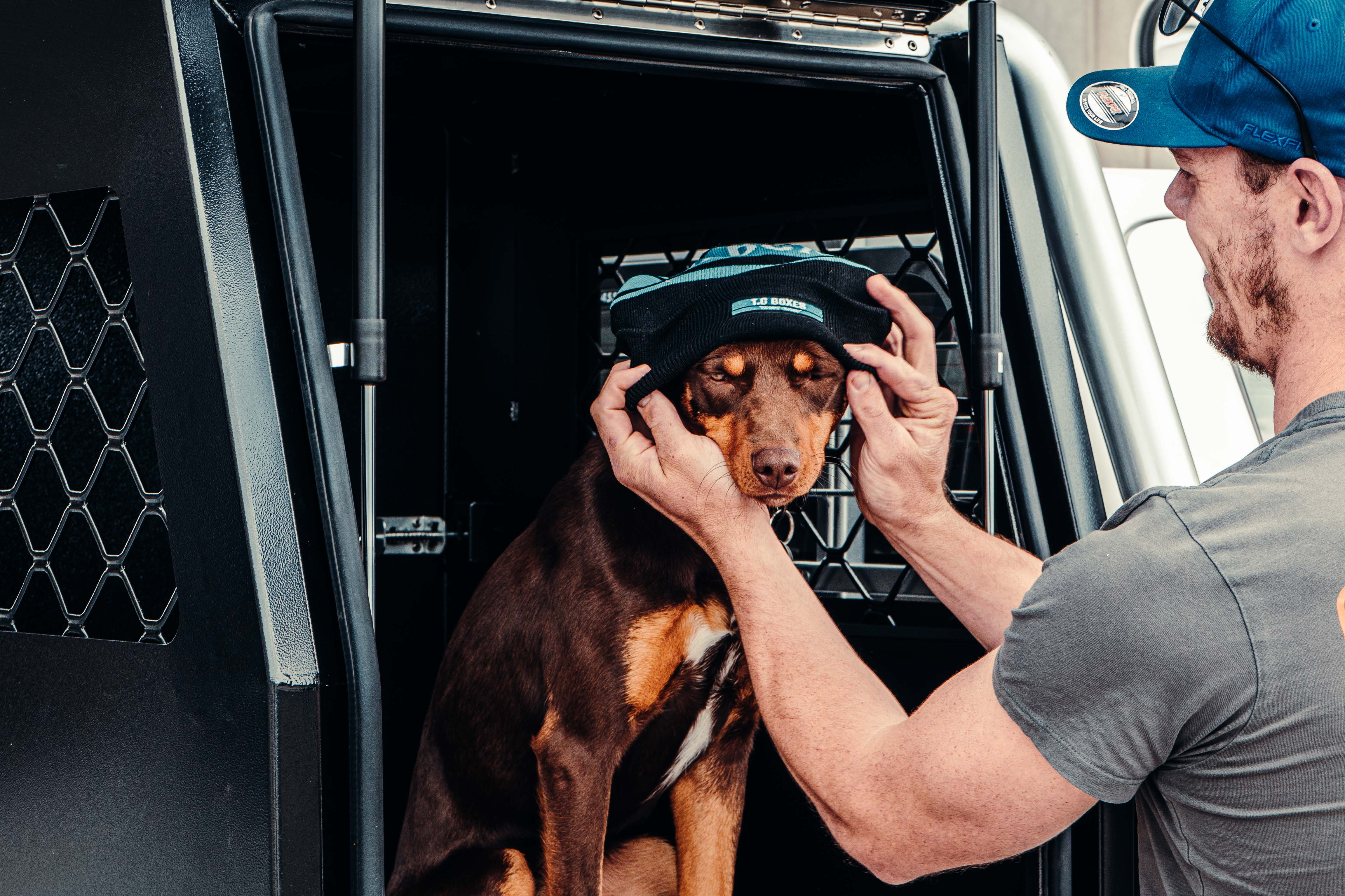 Quality Dog Boxes: Durable & Secure Storage for Your Pets – T.C BOXES