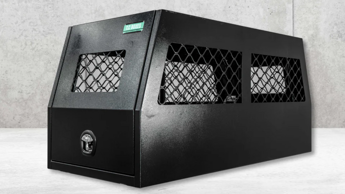 Top 13 Benefits Of Using A Dog Box For Outdoor Adventures